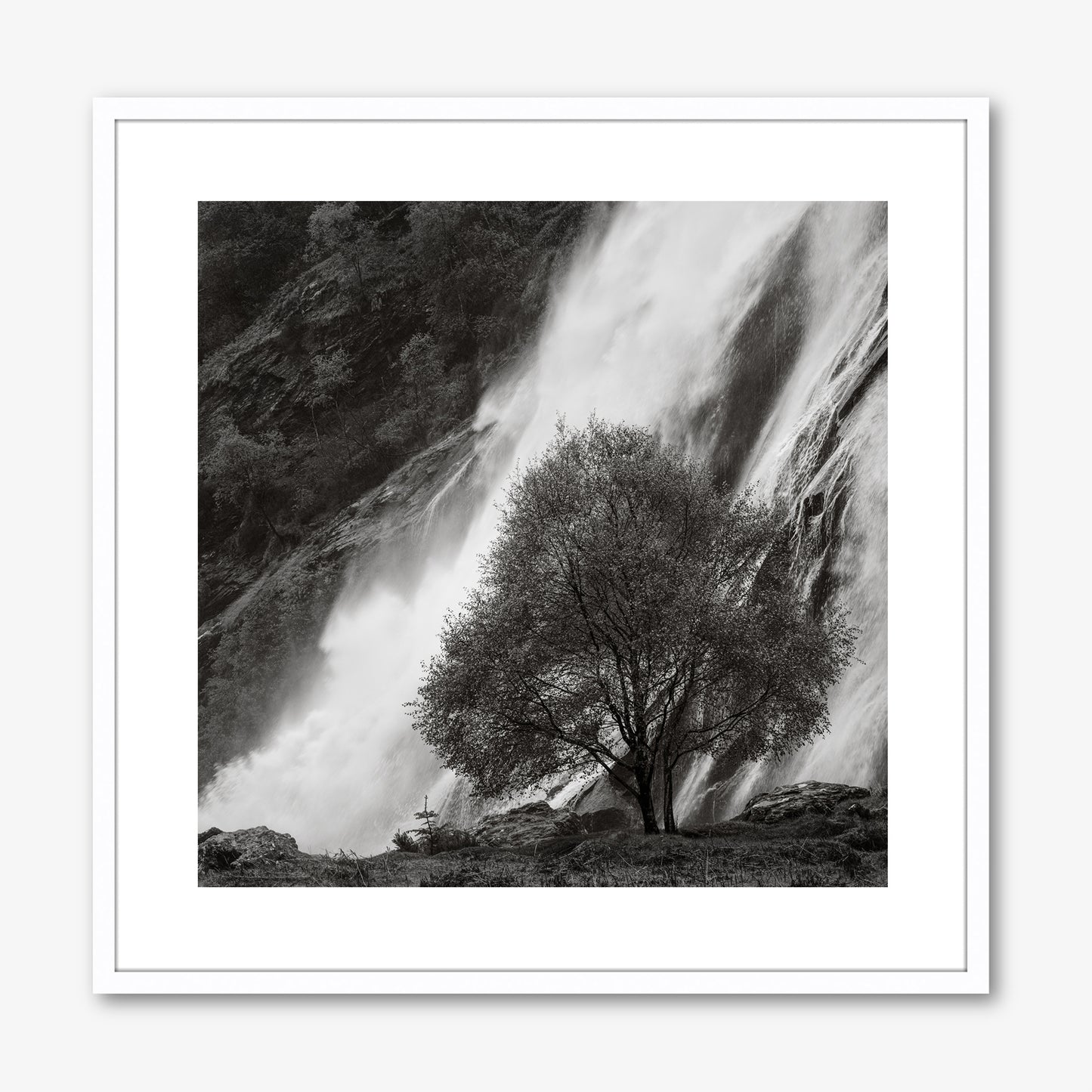 Powerscourt Waterfall