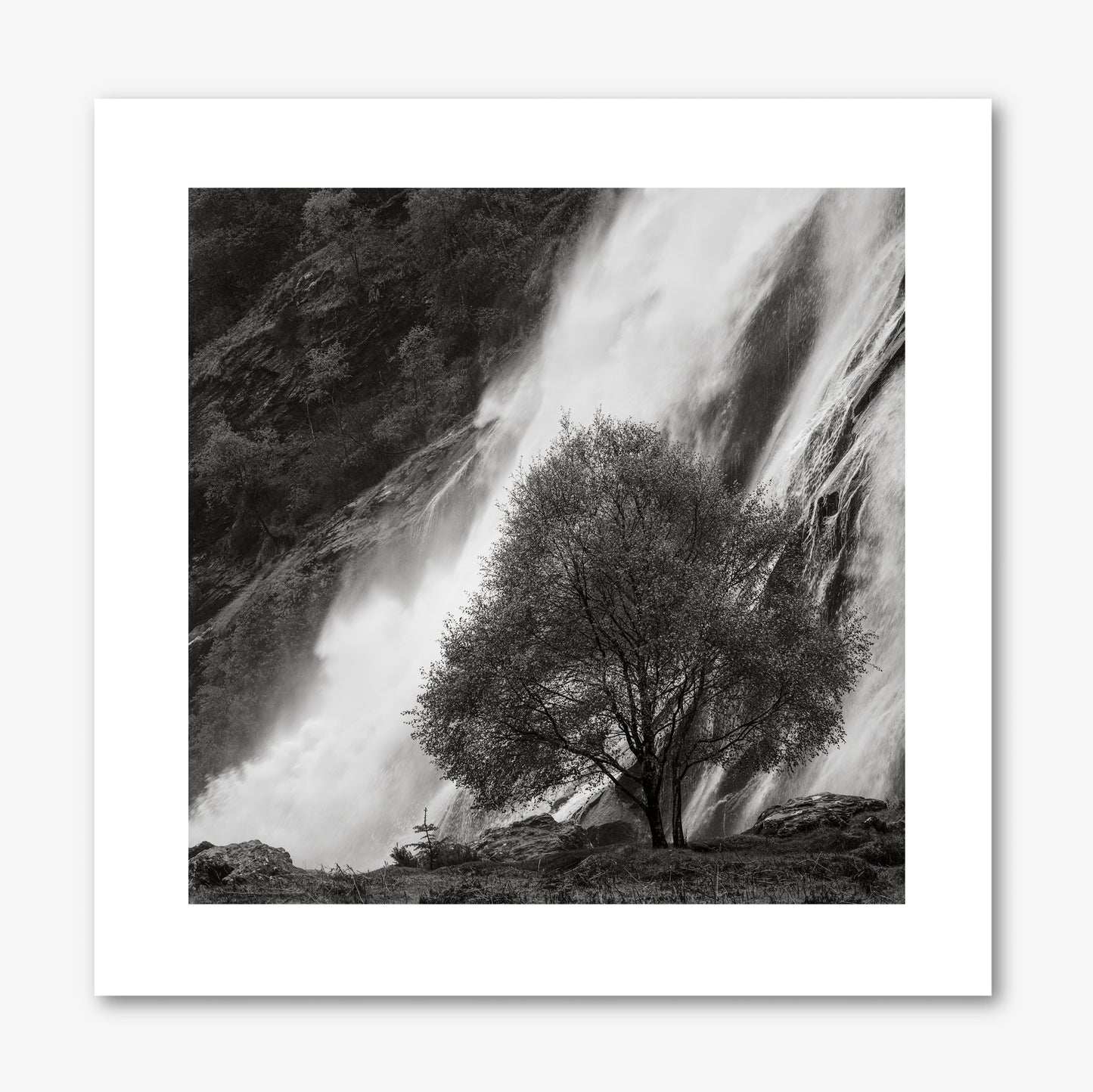 Powerscourt Waterfall