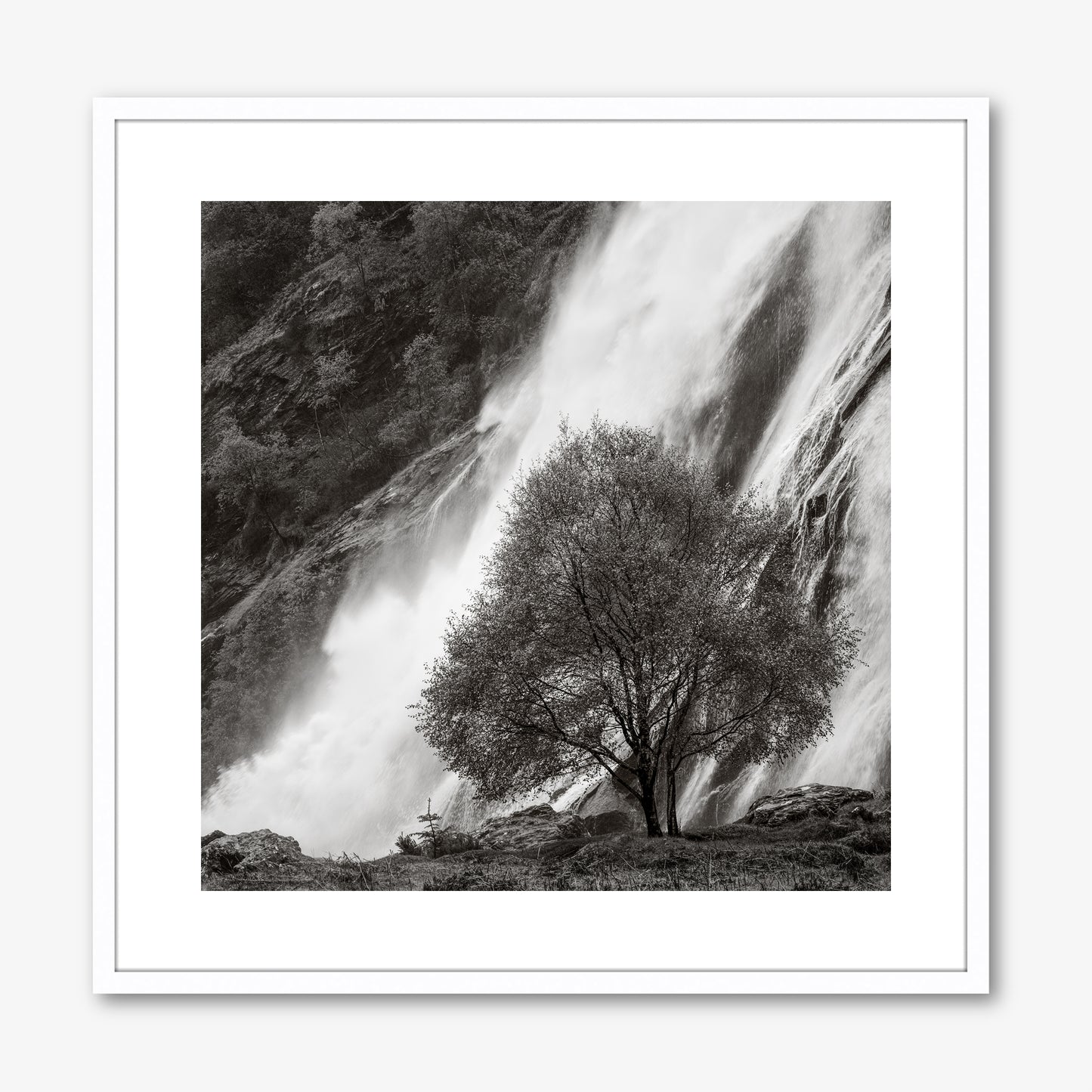 Powerscourt Waterfall