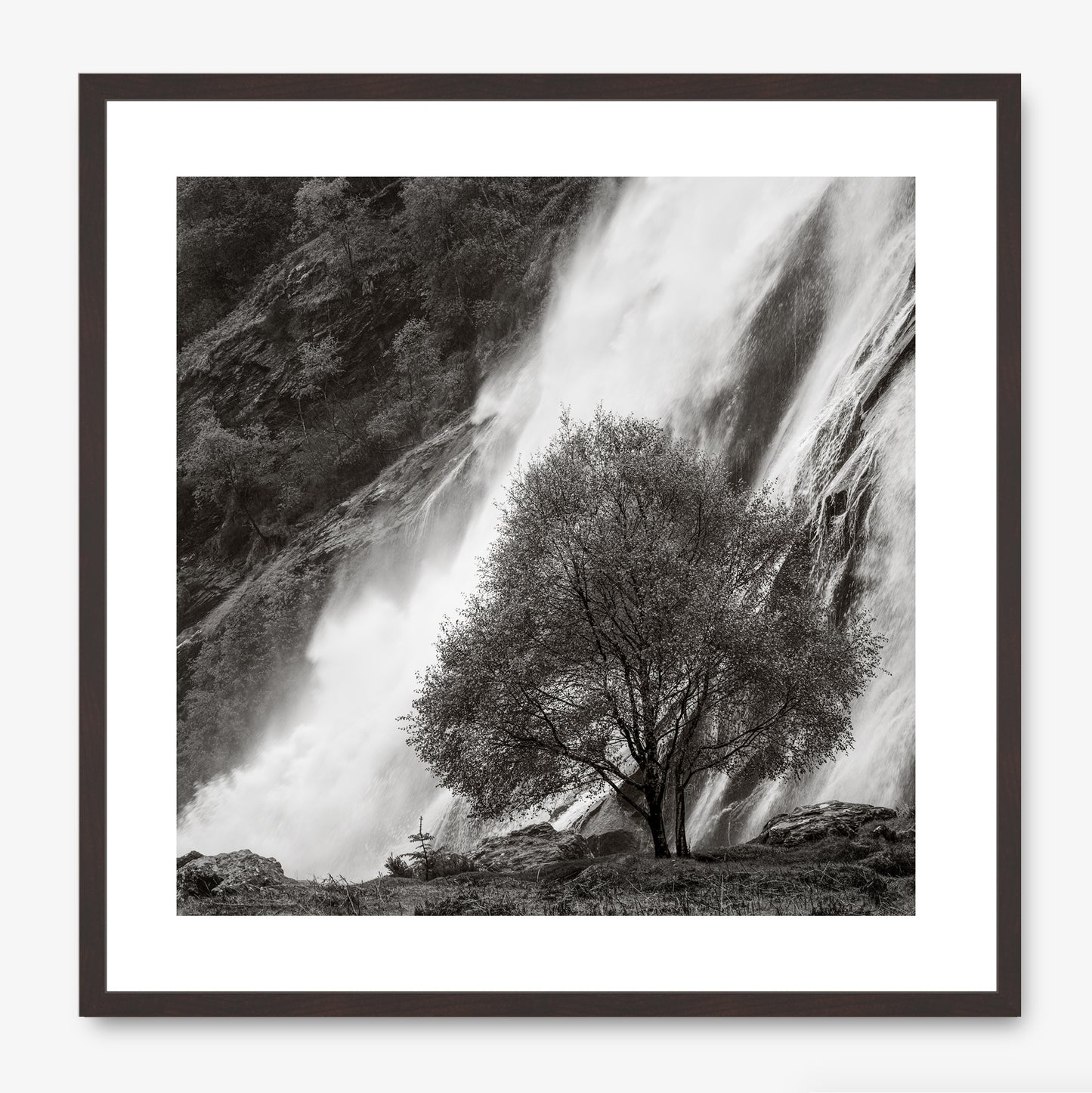 Powerscourt Waterfall