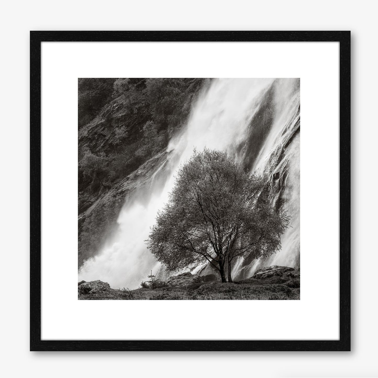 Powerscourt Waterfall