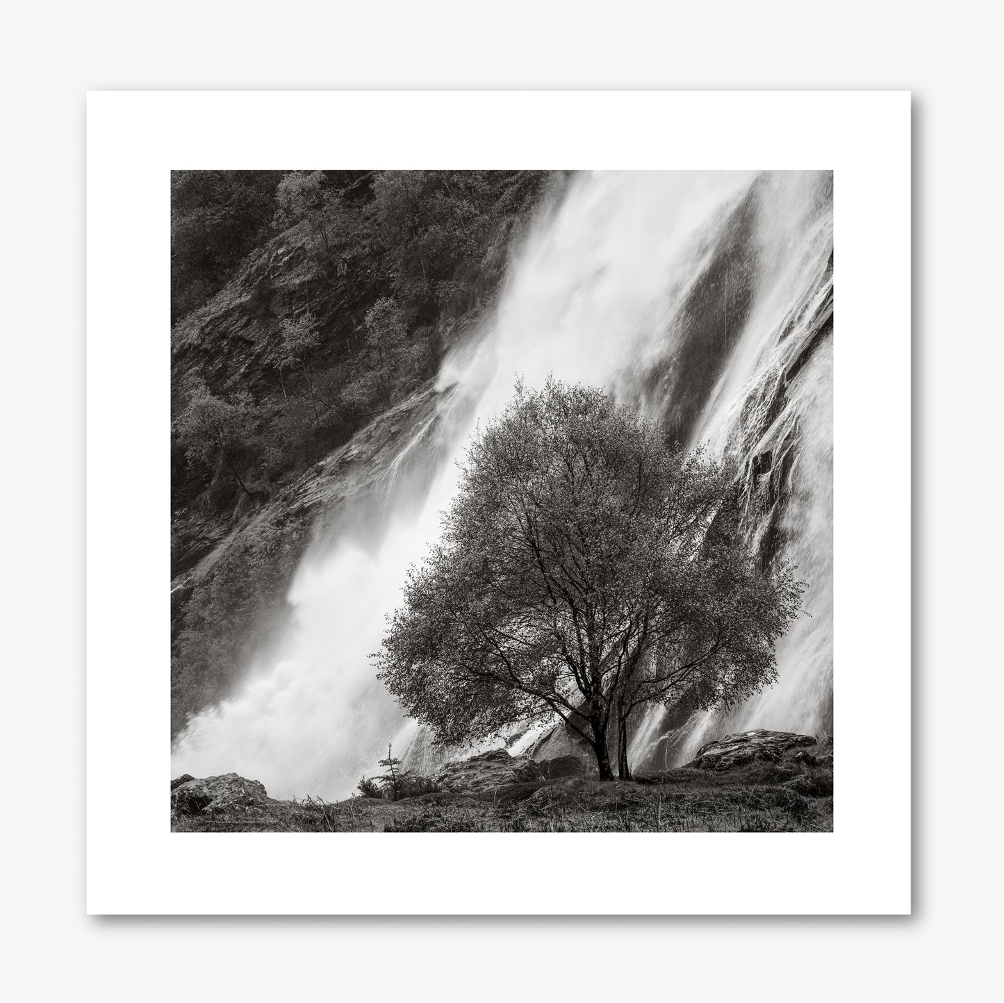 Powerscourt Waterfall