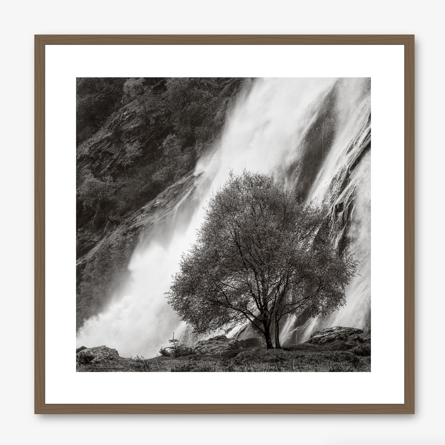 Powerscourt Waterfall
