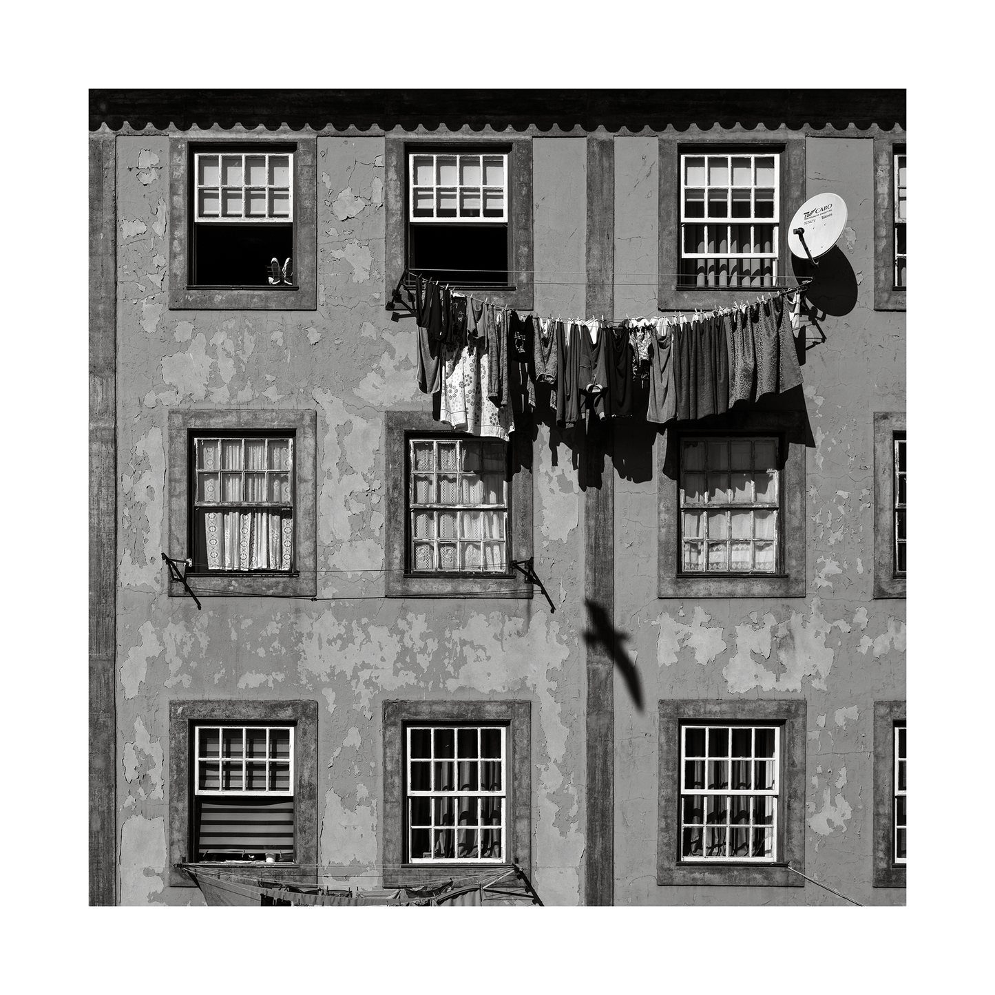 Windows & Clothes