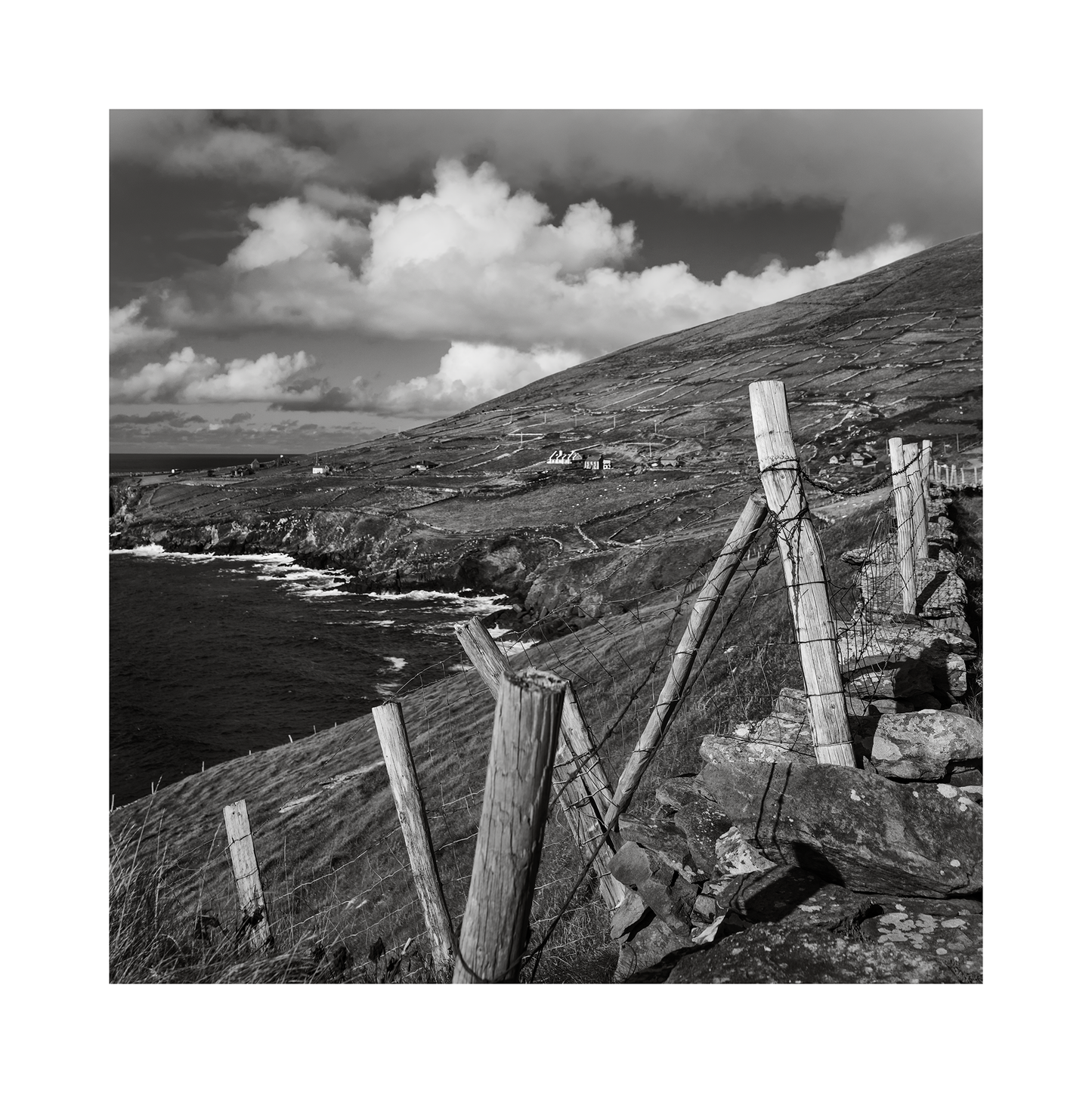 Old Wooden Fence