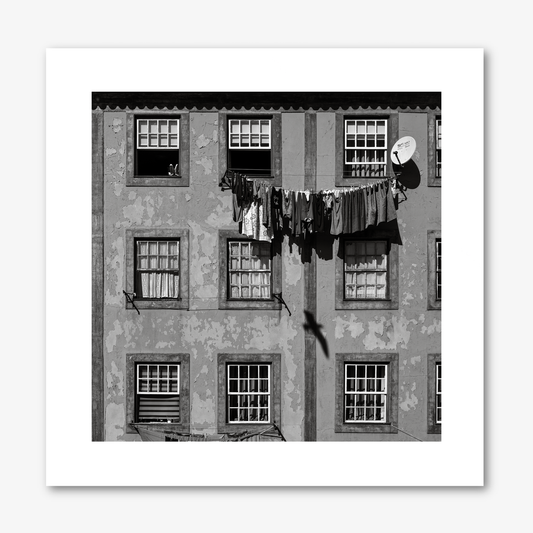 Windows  & Clothes
