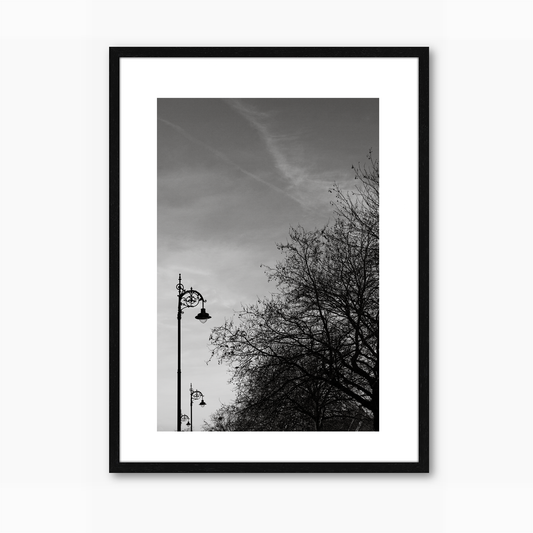 Dublin Lamp Posts