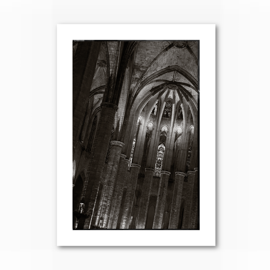 Cathedral Columns