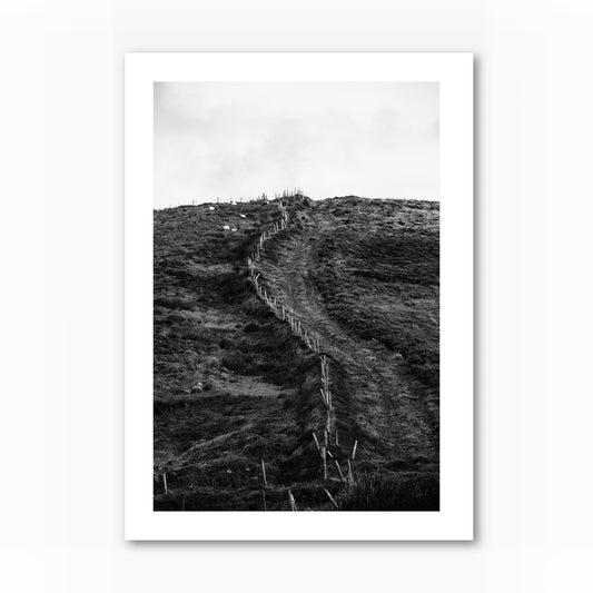 Twisting Fence