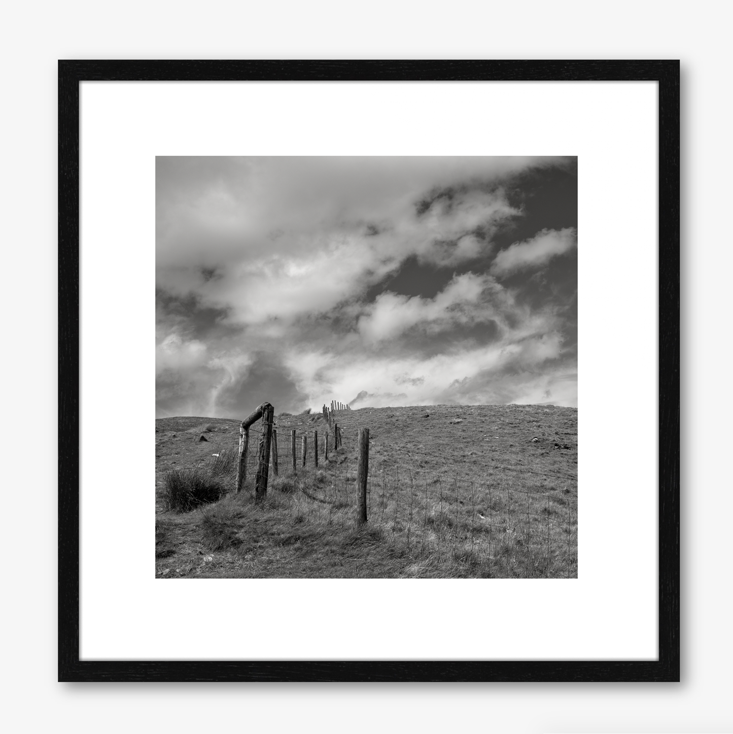 Fence Posts