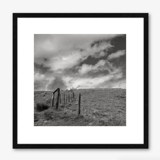 Fence Posts