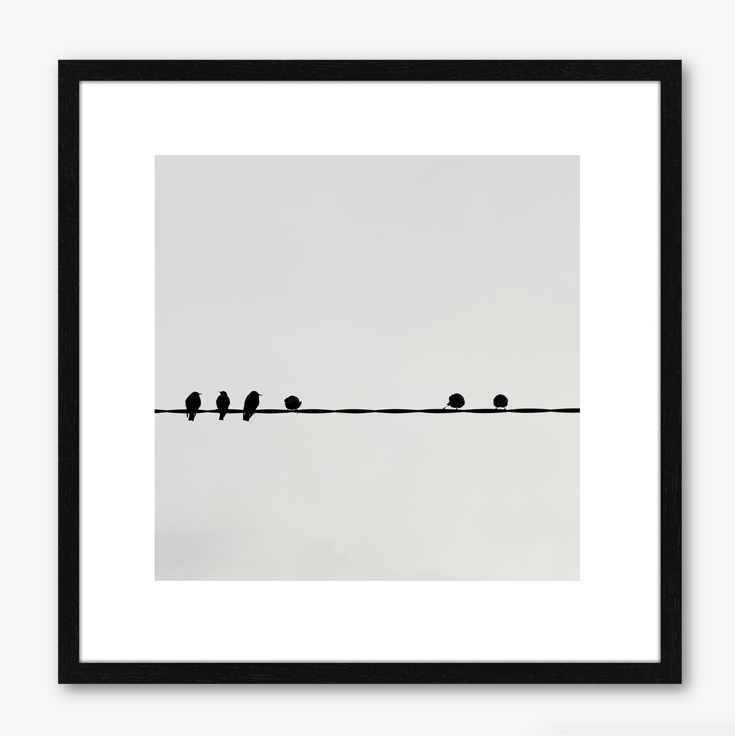 Six Birds
