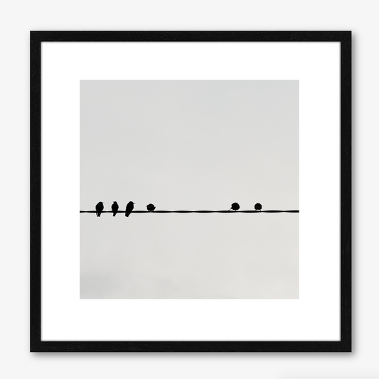 Six Birds