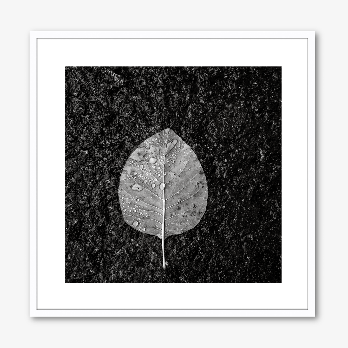 Winter Leaf no.1