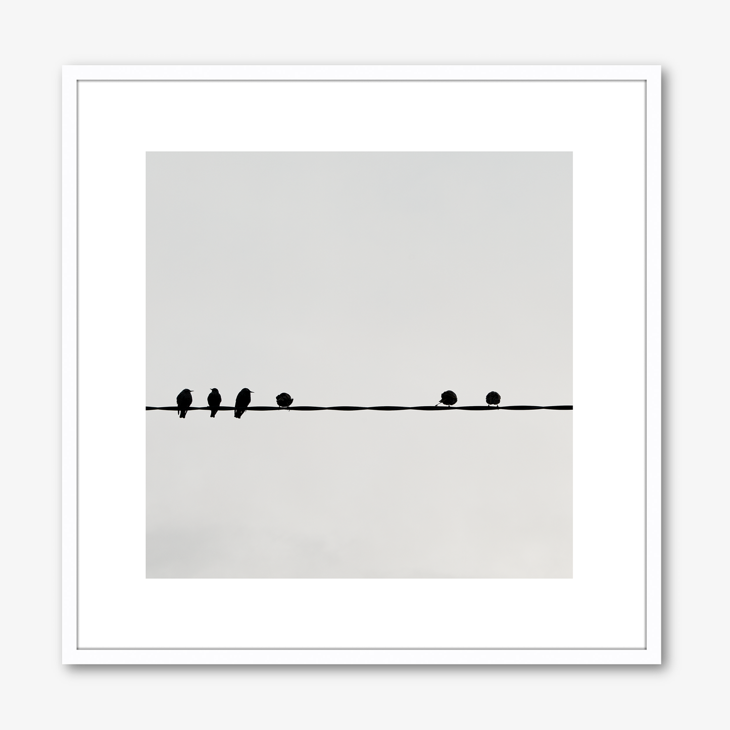 Six Birds