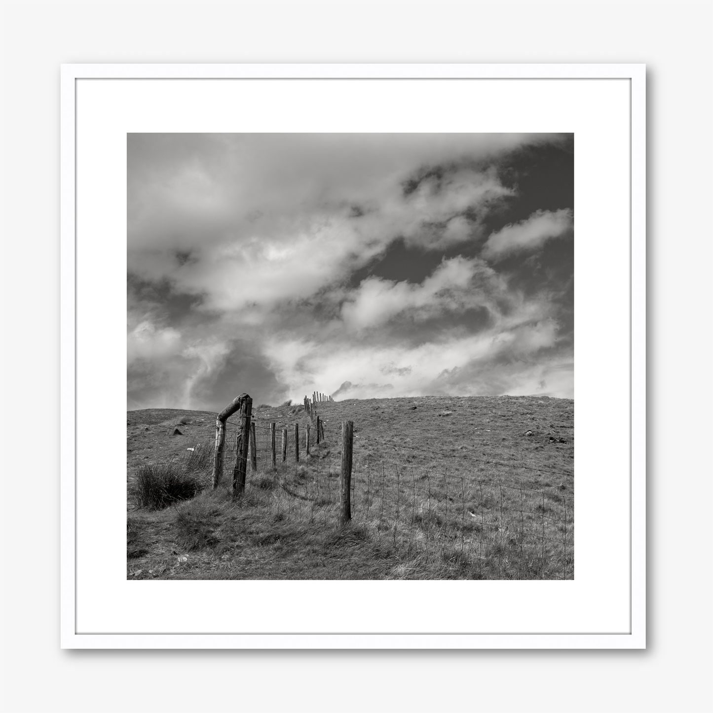 Fence Posts