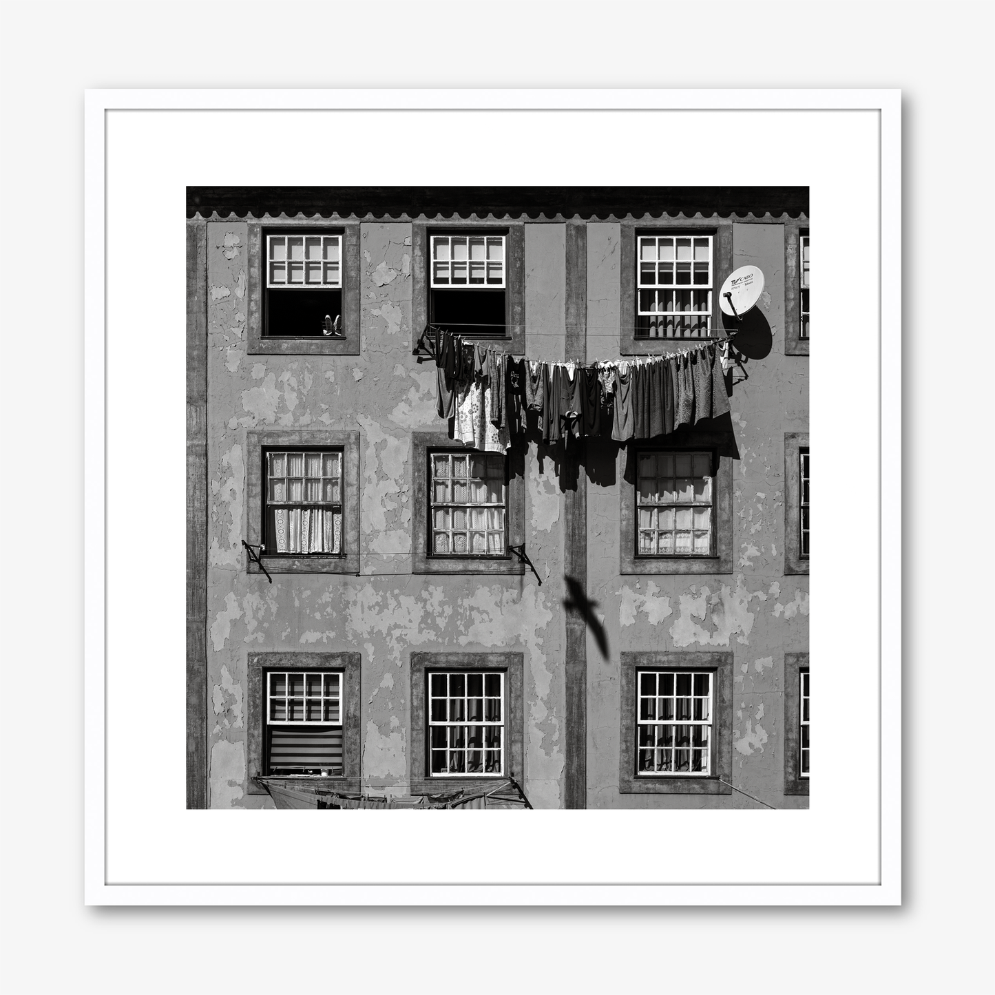 Windows & Clothes