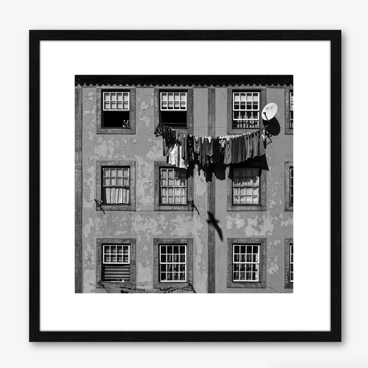 Windows  & Clothes