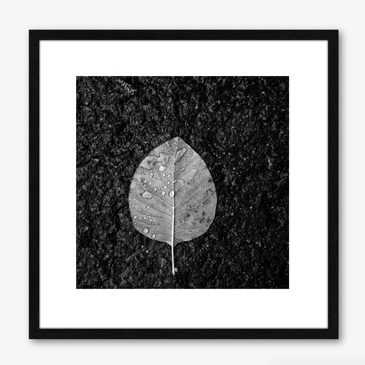Winter Leaf no.1
