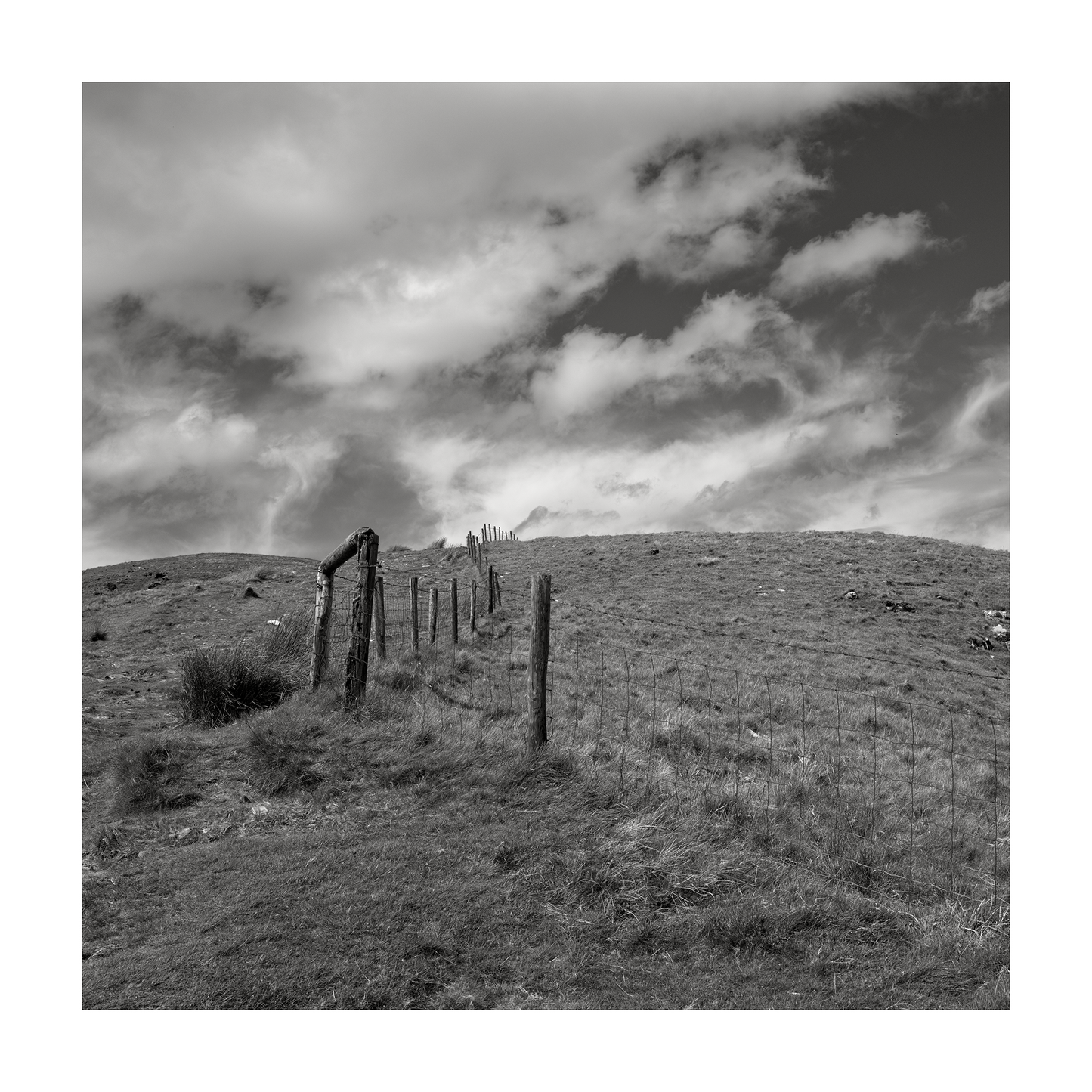 Fence Posts