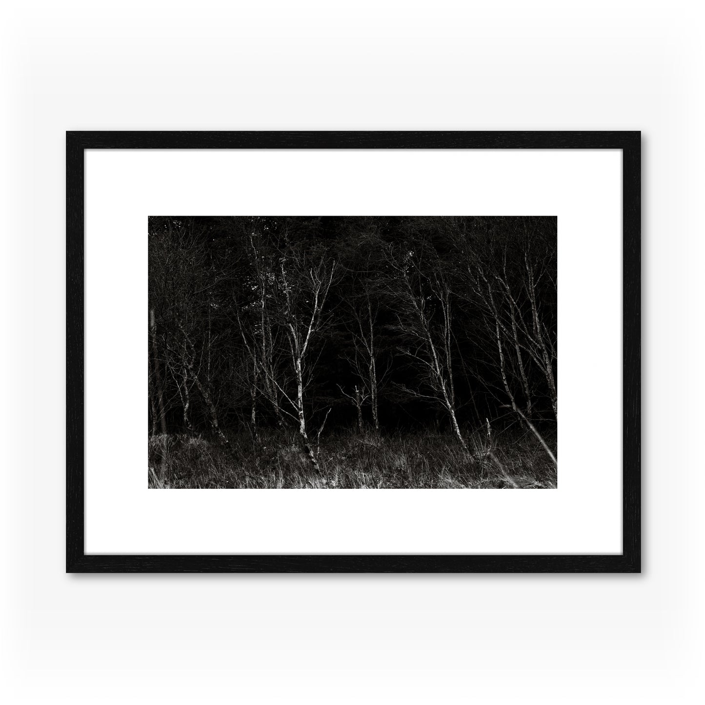 Trees I