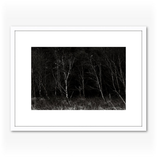 Trees I